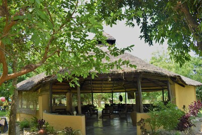 Mango Tree Lodge