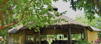 Mango Tree Lodge