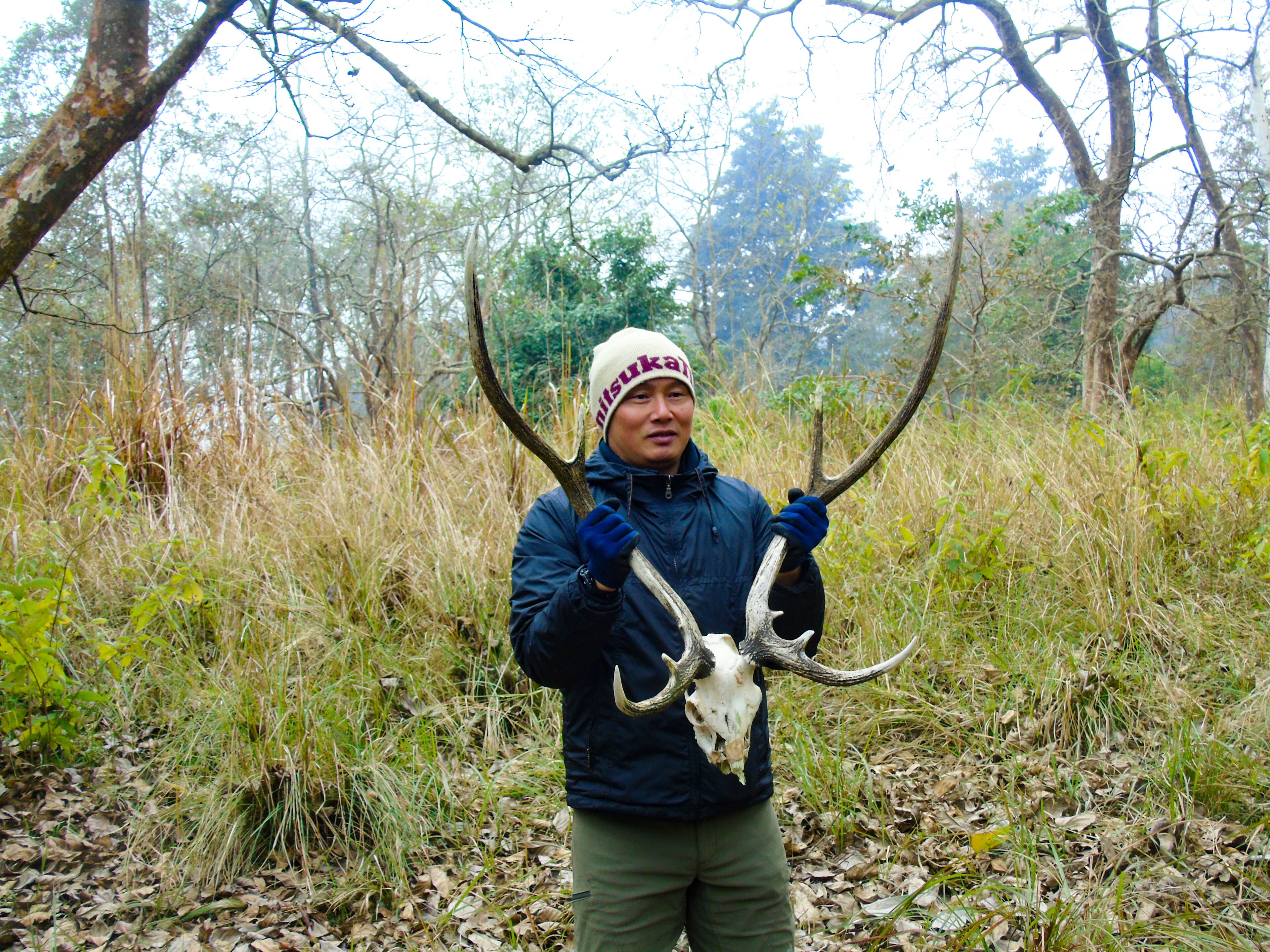 A person holding a large deer skull in a forested area.