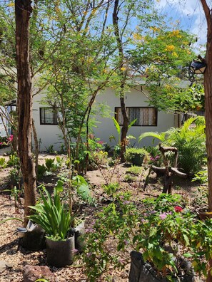 Garden - EcoVillas las Melinas  (Tamarindo)
