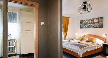 Cozy 1-bedroom apartment next to Old Riga