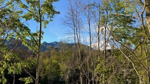 Une zone boisée, avec des arbres et des montagnes en arrière-plan.