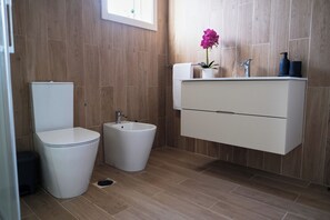 Ducha, secador de pelo, bidé y toallas