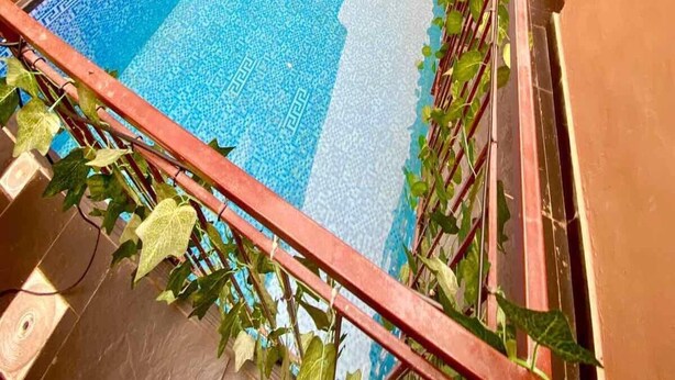 Una piscina rectangular con borde de azulejos, rodeada por una valla metálica y plantas en macetas.