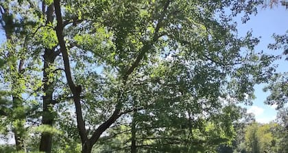 River retreat in Momence, IL. with river access. There is a private dock onsite.