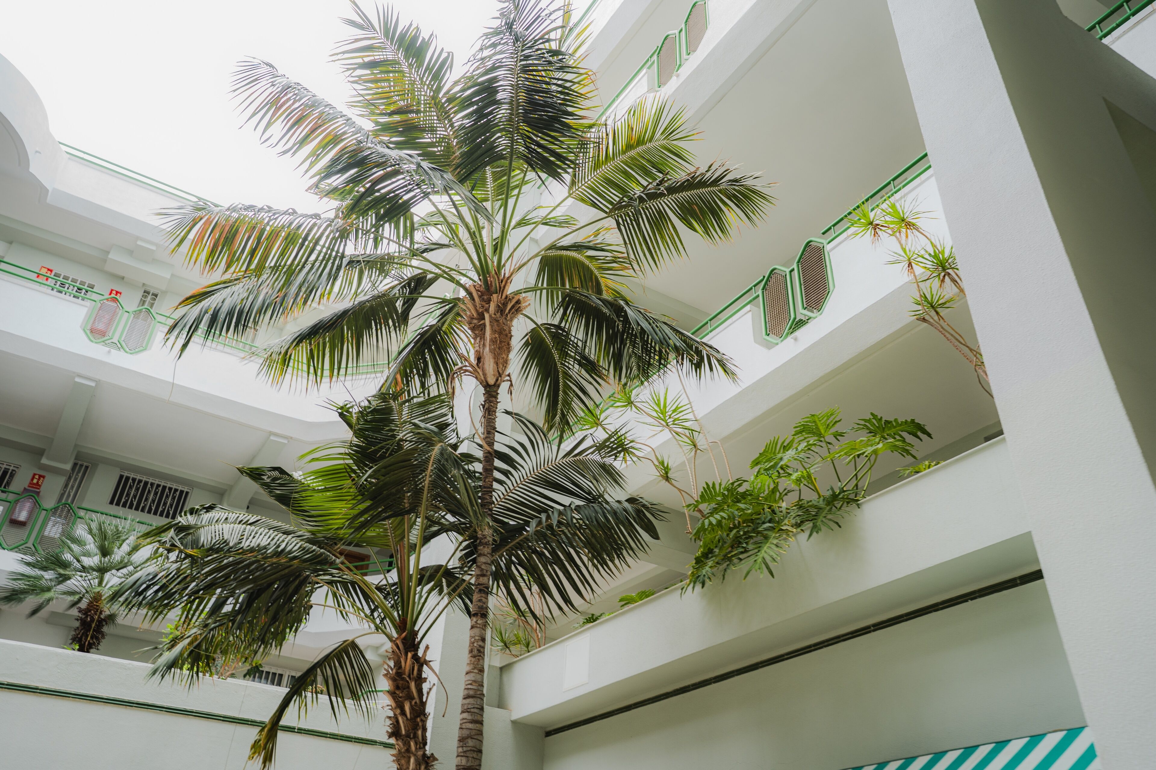 Àrea exterior de l'allotjament