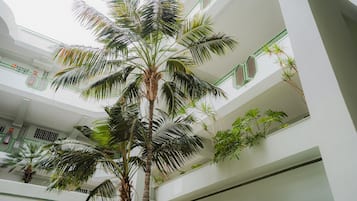 Àrea exterior de l'allotjament