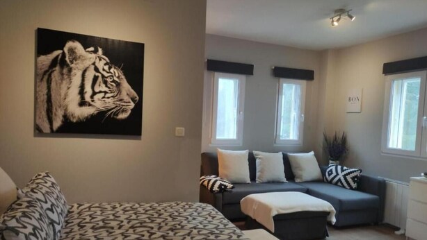 A modern bedroom with a large bed, a sofa, and a tiger painting on the wall. - Estudio Premium Sierra Nevada (Sierra Nevada)