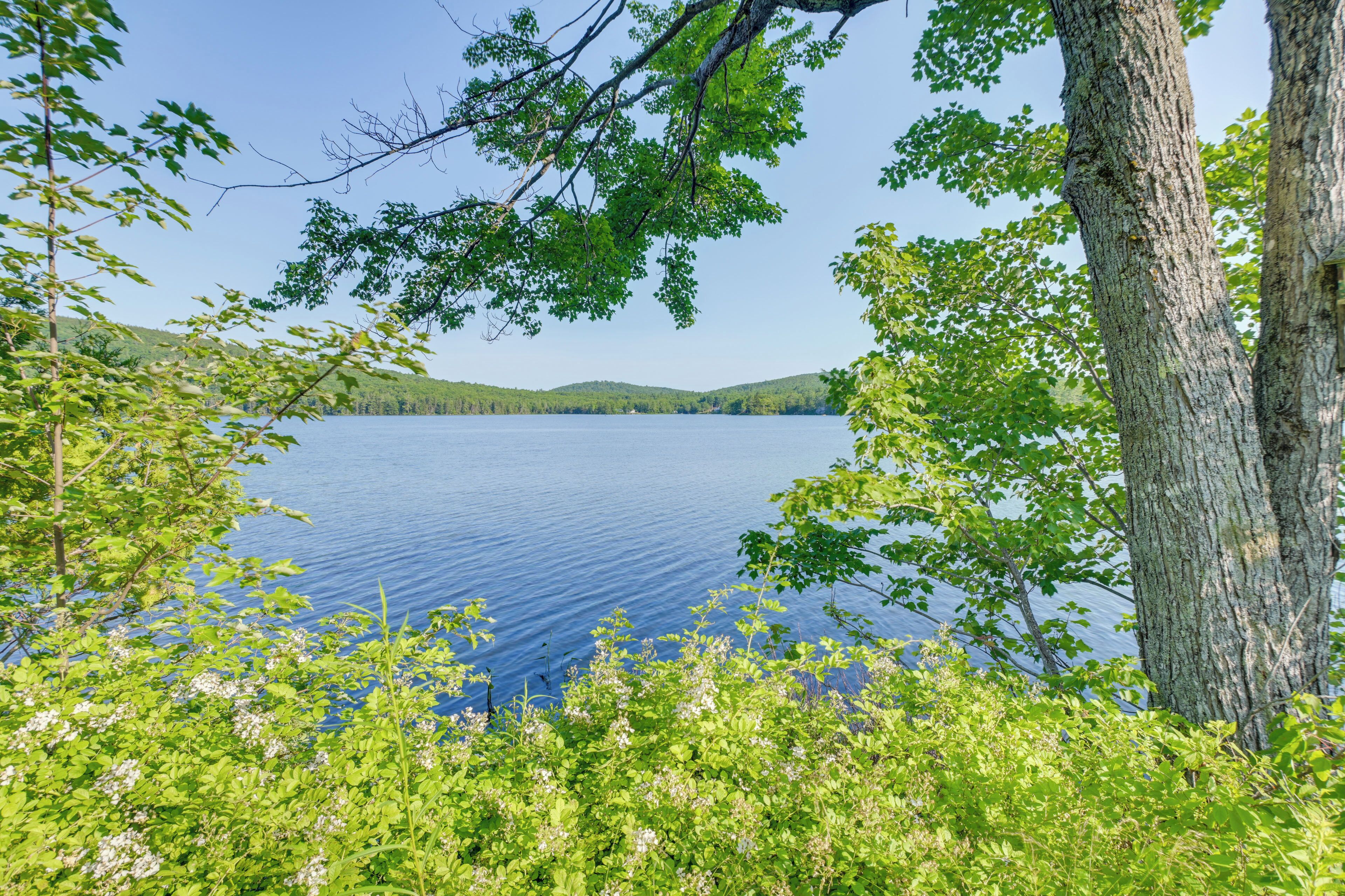 Un lac entouré d’arbres et de collines.