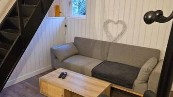 Smart-TV, Kamin