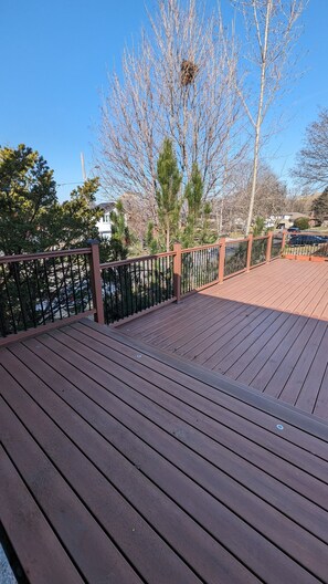 Property grounds - Cul de Sac Oasis in the City (Toronto)