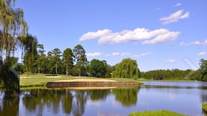 En rolig golfbane med et spejlblankt spejl og træer under en klar himmel.