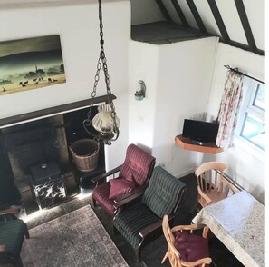 TV, fireplace, books