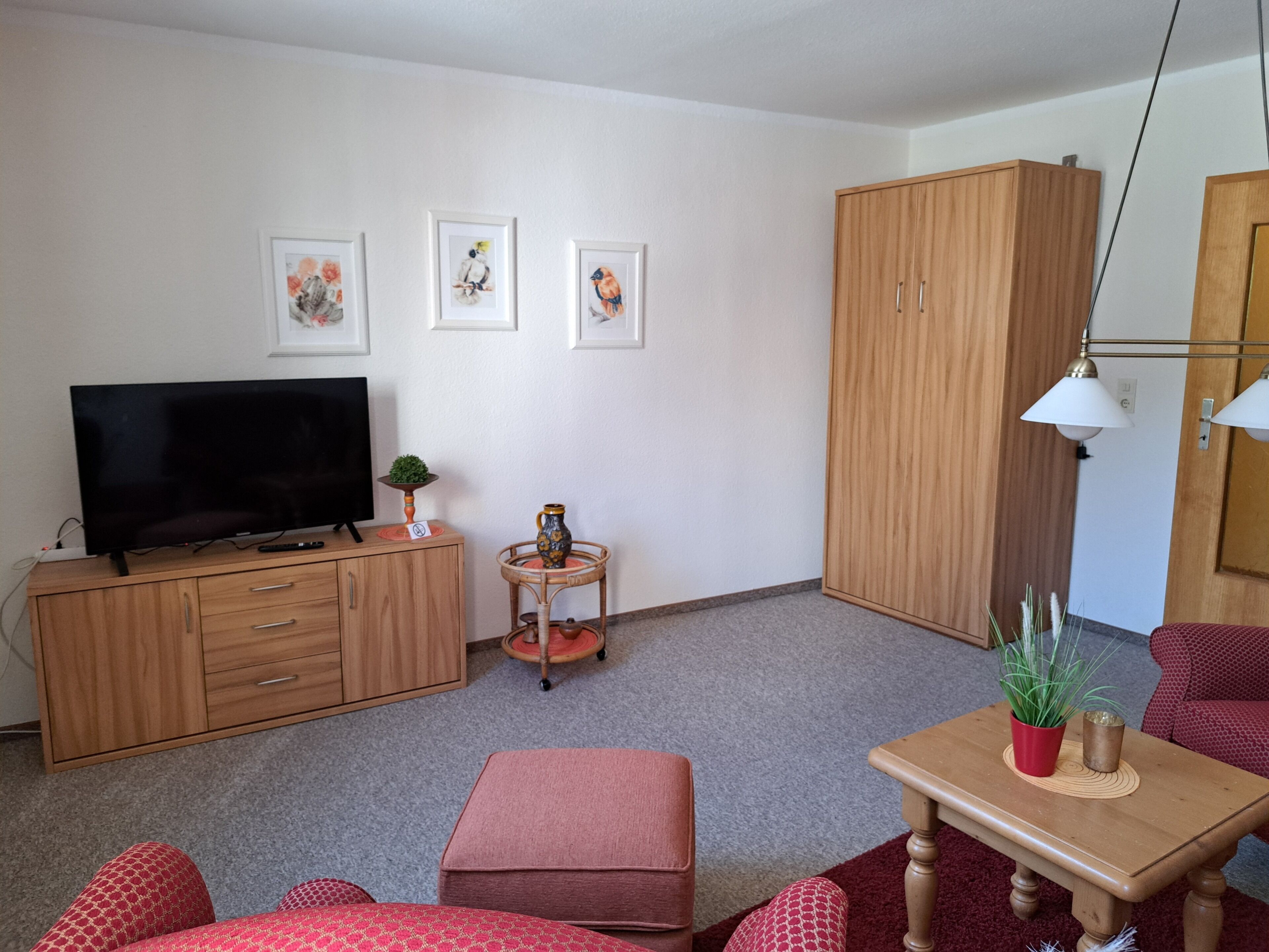A living room with a TV, wooden cabinet, two framed pictures, a red ottoman, and a wooden table with a plant.