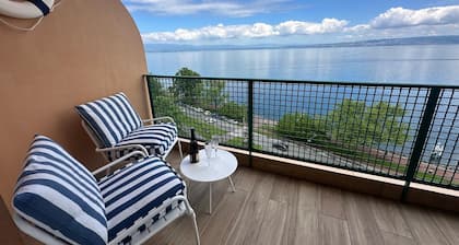 Idéalement Situé sur les Quais D'evian Avec vue Panoramique sur le lac Léman