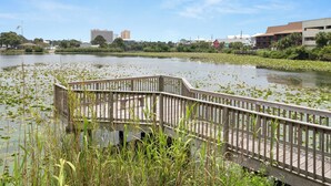 A wooden boardwalk over a pond with lily pads, surrounded by greenery and buildings in the background. - Fall Dates Available! Quick Walk to Beach! Perfect for Families! (Panama City Beach)
