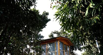 The Divine- 4BR Lux Farmhouse with pool in Kalka