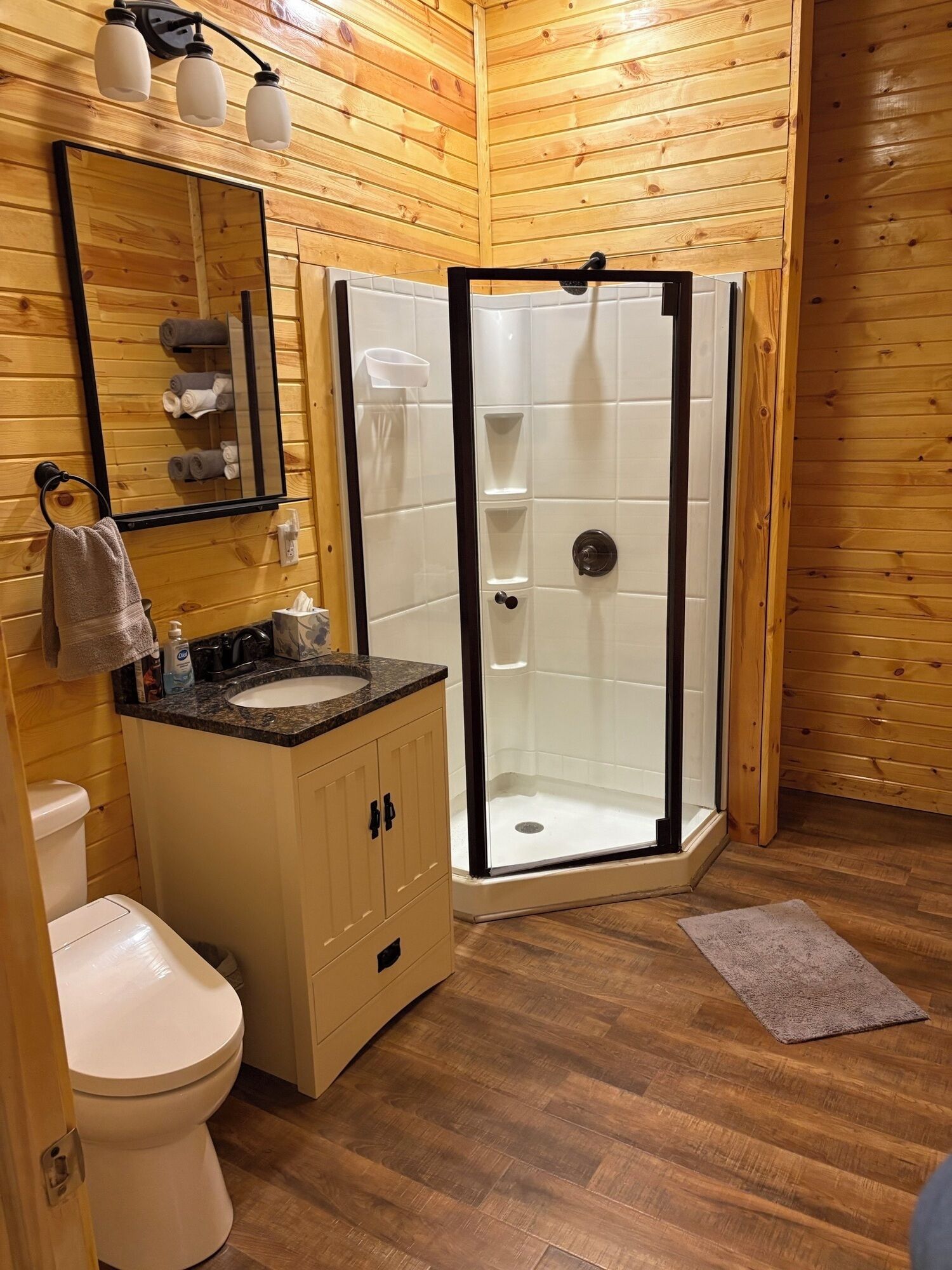 Shower, bidet, towels, soap