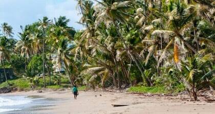 Welcome to Blue Paradise – Your Beachfront Escape in Northern Grenada!