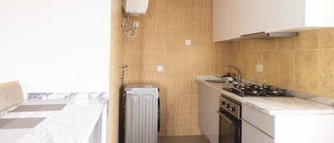 Fridge, oven, stovetop, cookware/dishes/utensils