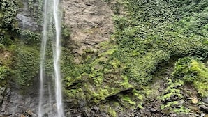 Une cascade au cœur d’un paysage naturel, avec des rochers et de la végétation.