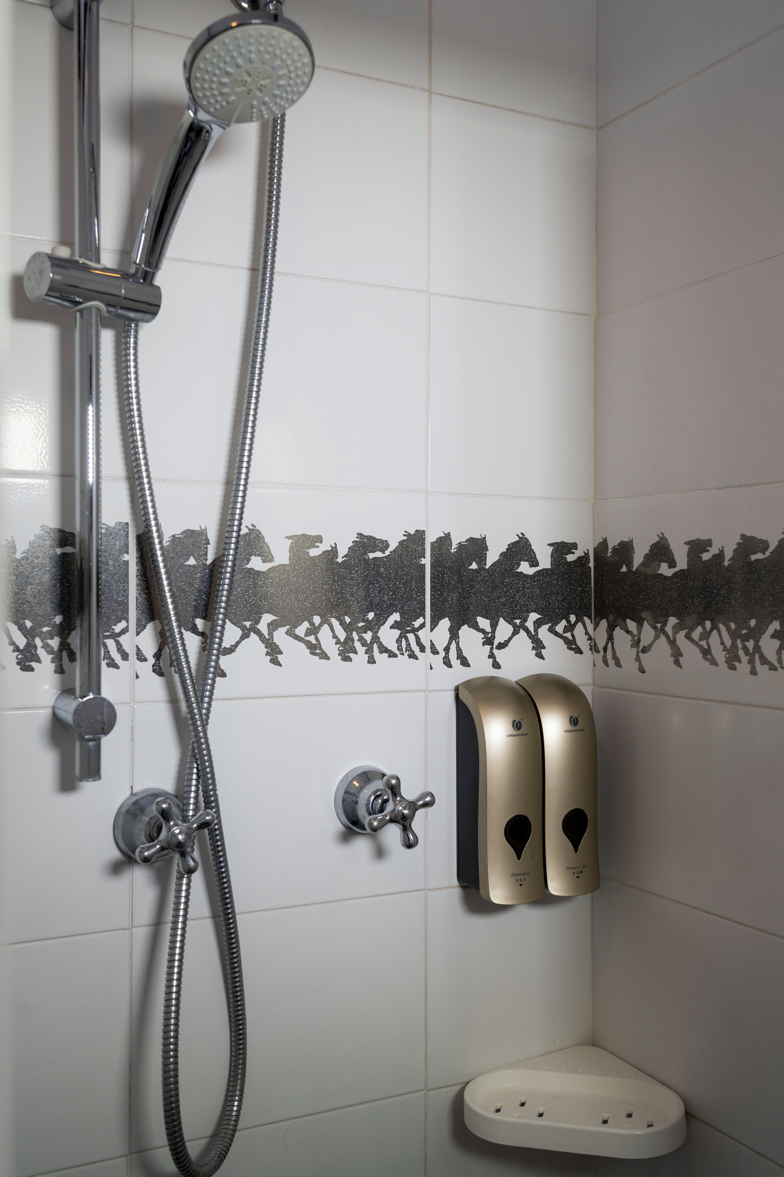 Un angolo doccia con soffione a mano, rubinetto a parete e dispenser per sapone.