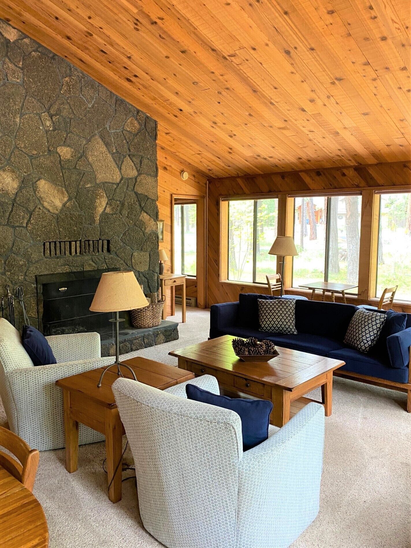 TV, fireplace, DVD player