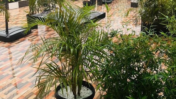 Terrace/patio - Javelin Hotel (Kampala)