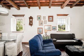 Una televisión, una chimenea, libros