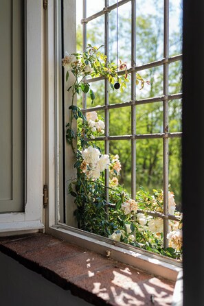 A window with a metal grid, through which white flowers and green foliage are visible. - A detached villa from the 1800s, 250 square meters in size, completely renovated. Ocean view. (Lucca)