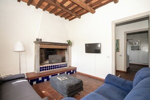 TV, fireplace, books