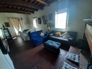 TV, fireplace, books