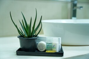 Un baño con un lavamanos, una planta de aloe en maceta y artículos de aseo en una bandeja.