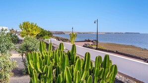 Eine Küstenstraße mit Blick auf das Meer, ein Kakteengarten und ein weißes Gebäude im Hintergrund.