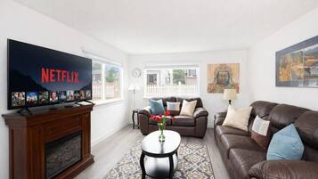 Smart TV, fireplace, books