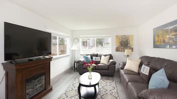 Smart TV, fireplace, books