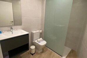 Douche, séchoir à cheveux, serviettes fournies