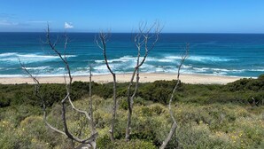 Une plage offrant une vue dégagée sur l’océan, avec une rangée d’arbres sans feuilles au premier plan.