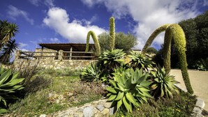 Un bâtiment en pierre, entouré d’une clôture en bois et bordé de différentes espèces de cactus et de plantes succulentes.