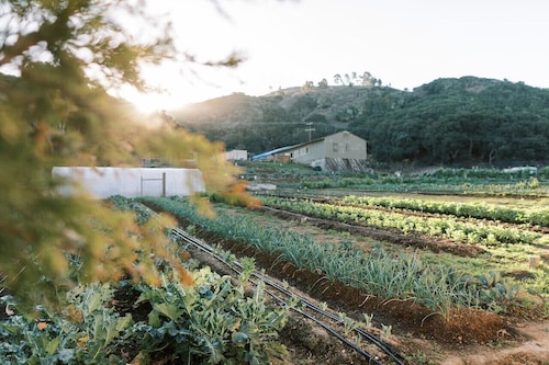 Farmstay in Vintage Remodeled Camper