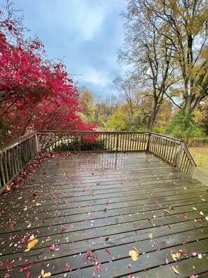 Property grounds - A hop from downtown Cincy, a skip from the Ark, & jump to great shopping/dining (Florence)