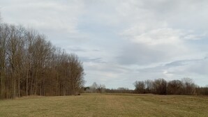 A grassy field with leafless trees in the background. - Relax and enjoy nature at the spacious North branch get away. 39 acres available (Hesperia)