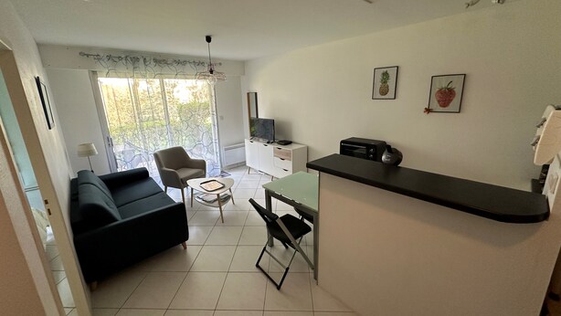 Un espace de vie compact comprenant un coin cuisine, un coin repas et un coin salon avec un canapé et un fauteuil.