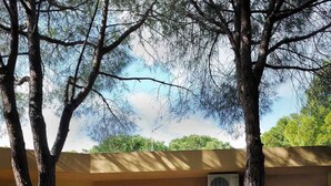 Un cortile con un vialetto che conduce a una zona relax, circondato da alberi e un edificio dalla facciata gialla.