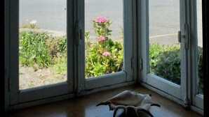 Una habitación con amplios ventanales que dan a un puerto, con vistas a barcos y un cartel que indica que no se permite el estacionamiento.