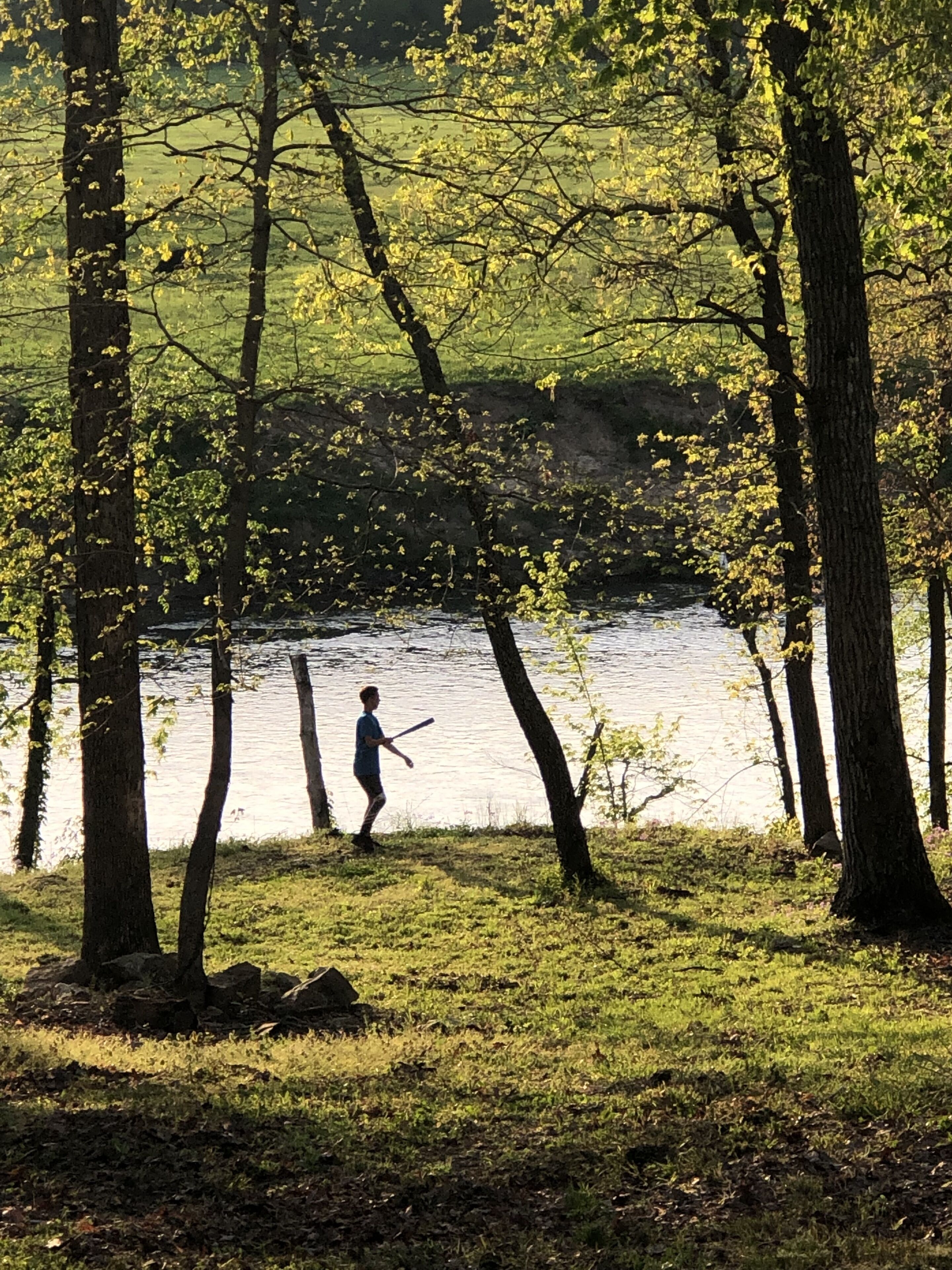 Une personne se tient près d’un lac, avec des arbres au premier plan.