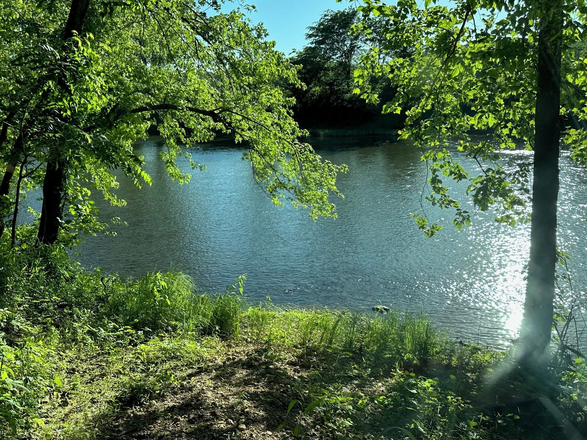 Un lago sereno rodeado de exuberante vegetación y árboles.