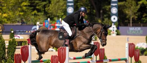 Ein Reiter springt mit einem Pferd ĂŒber eine HĂŒrde.
