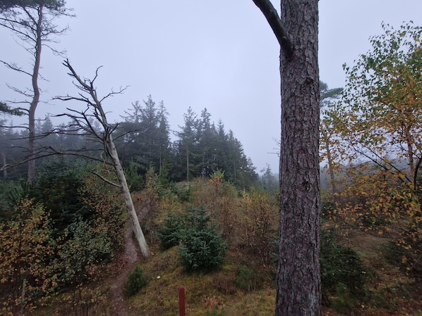 Miscellaneous - Urlaub auf dem Bauernhof im Beliebten Ferienort Tversted ca 800 m vom Strand (Bindslev)