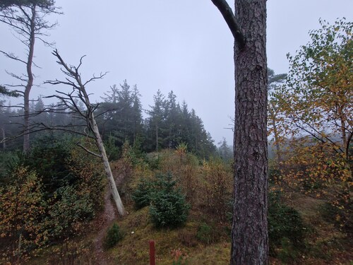 Urlaub auf dem Bauernhof im Beliebten Ferienort Tversted ca 800 m vom Strand